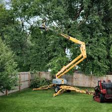Best Tree Disease Treatment  in Thomaston, GA