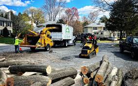 Best Landscape Design and Installation  in Thomaston, GA