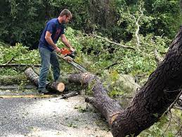 Best Seasonal Cleanup (Spring/Fall)  in Thomaston, GA