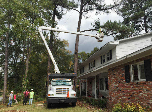 Mulching Services in Thomaston, GA