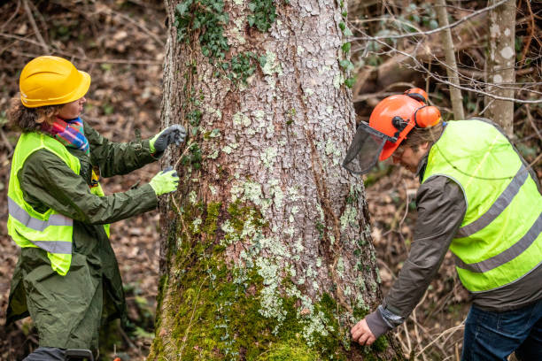 Best Emergency Tree Removal  in Thomaston, GA