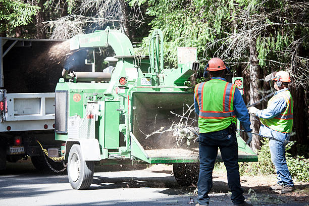 Best Commercial Tree Services  in Thomaston, GA